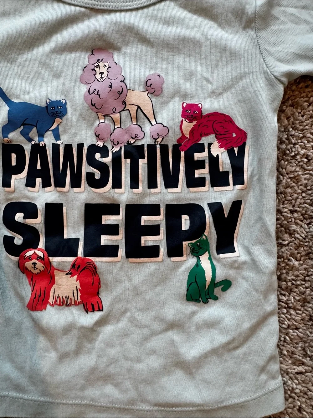Girls Pajama Bundle Puppy love 3 sets of pajamas pants and tshirts size 3T